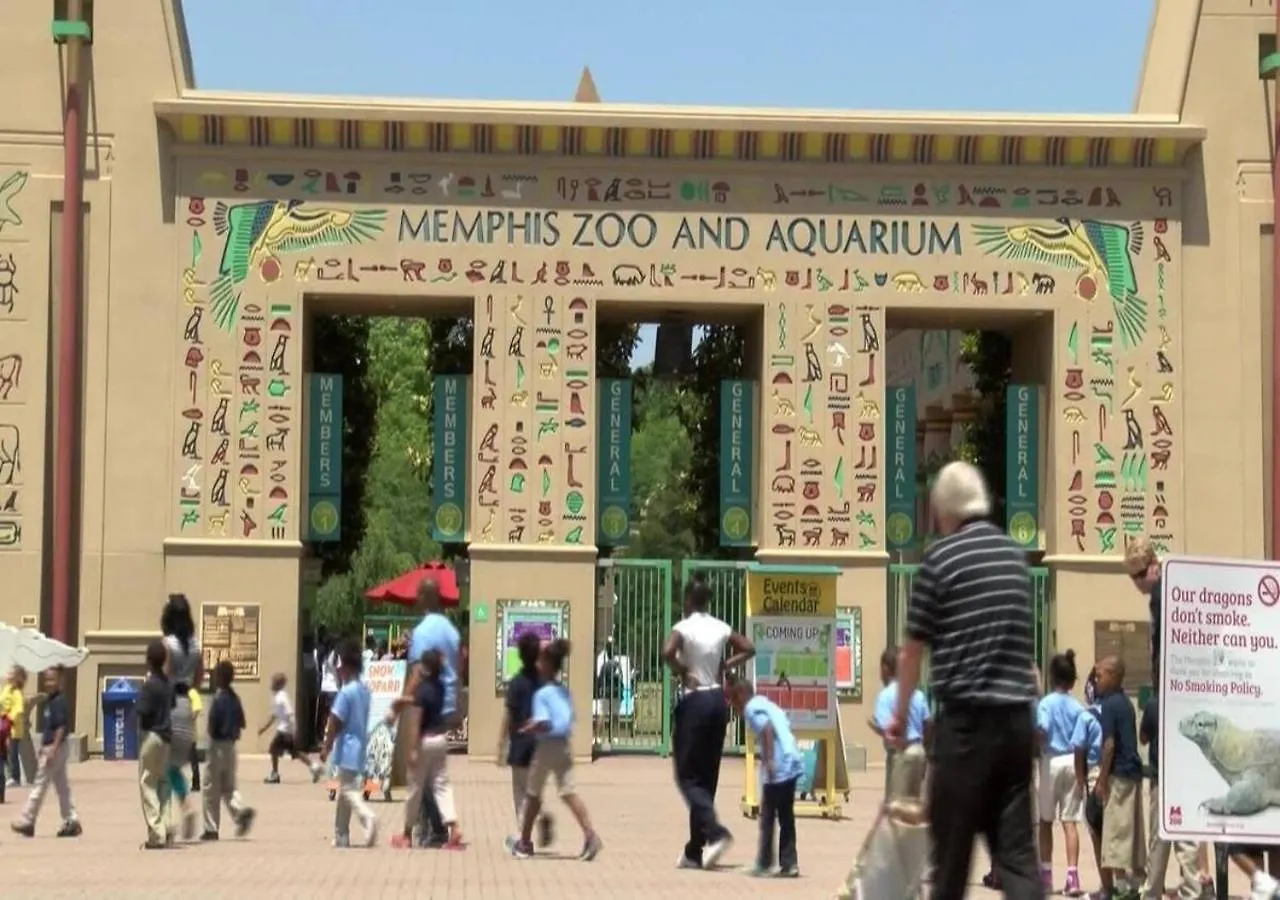 Διαμέρισμα Walk To Memphis Nightlife, 100 Yr Old Cozy Apt Ηνωμένες Πολιτείες της Αμερικής